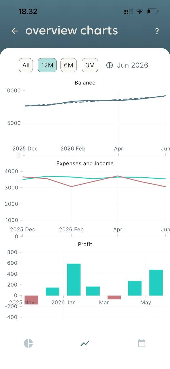 Overview charts showing balance, income vs expenses and profit